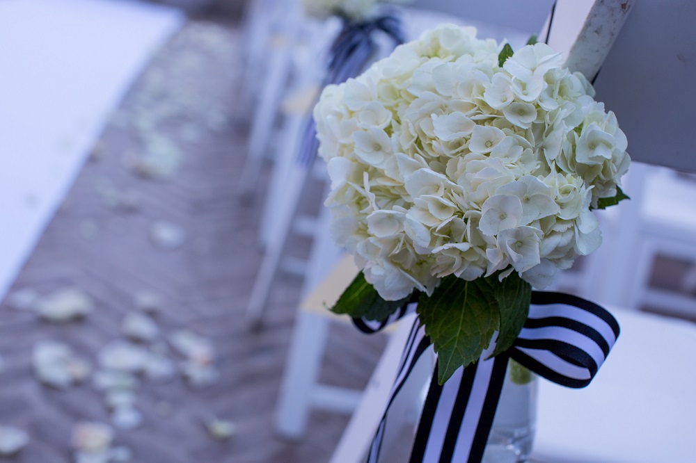 View More: http://jeffplusamber.pass.us/stephanieandjaredwedding